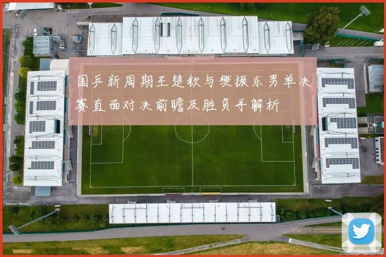 国乒新周期王楚钦与樊振东男单决赛直面对决前瞻及胜负手解析