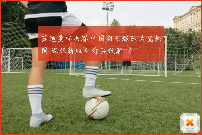 苏迪曼杯决赛中国羽毛球队力克韩国 混双新组合奇兵致胜